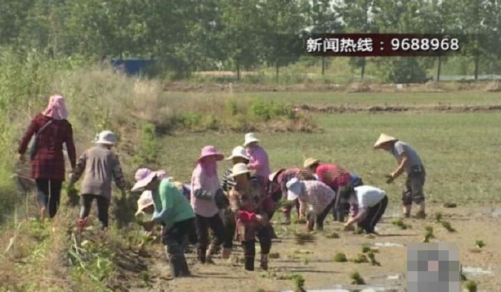 凯发k8国际首页(中国)官网登录入口