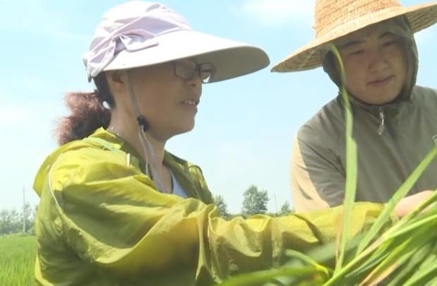 凯发k8国际首页(中国)官网登录入口