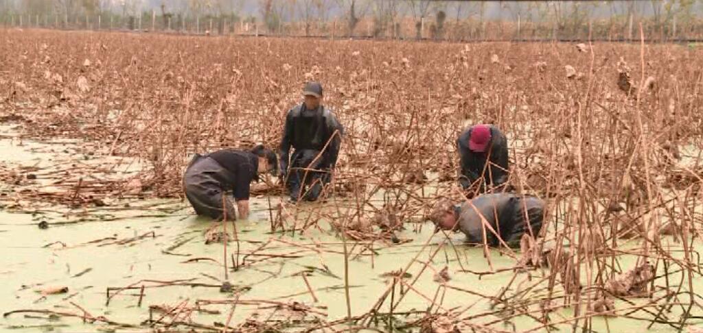 凯发k8国际首页(中国)官网登录入口