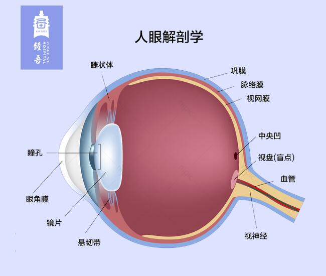 凯发k8国际首页(中国)官网登录入口